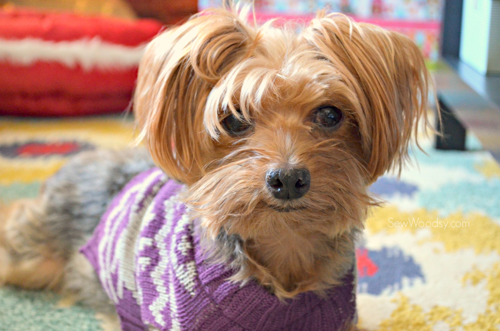 Martha Stewart Holiday Pets Collection 2014 Sew Woodsy