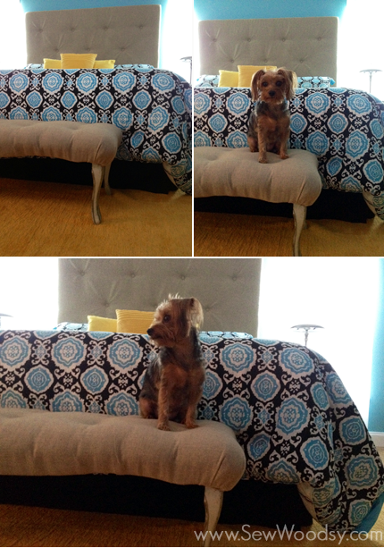 upholstered-tufted-headboard-with-yorkie