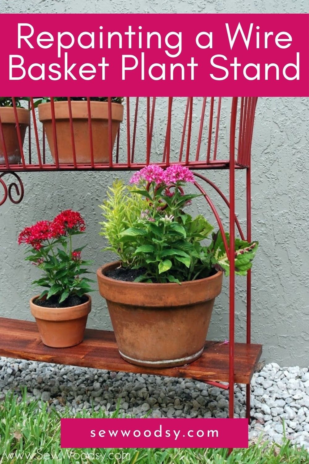 Close up of a red wire basket with a wood bottom shelf with plants on it and text on image for Pitnerest.