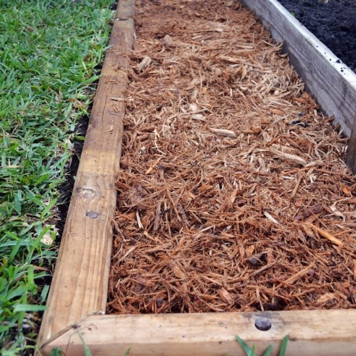 Wood timber edge between grass and mulch.