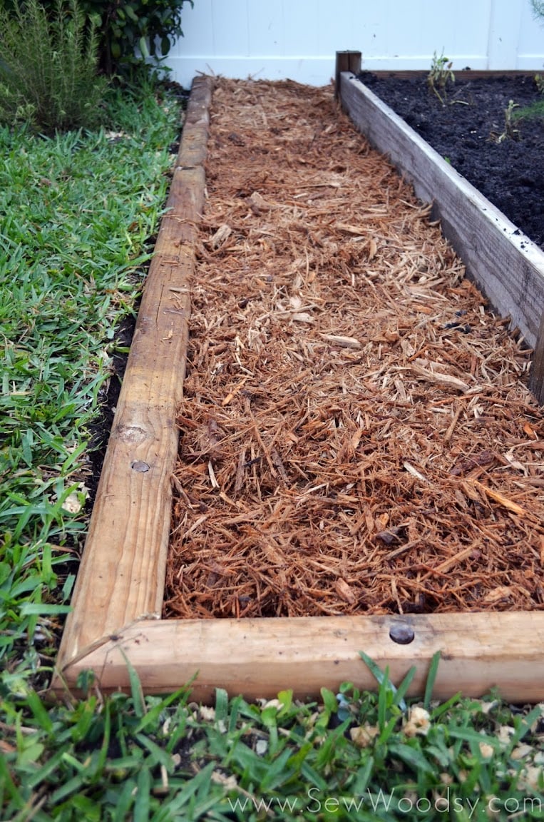 Wood timber edge between grass and mulch.