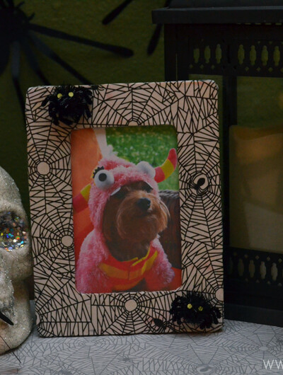 Decoupage Spider Web Picture Frame from SewWoodsy.com #halloween