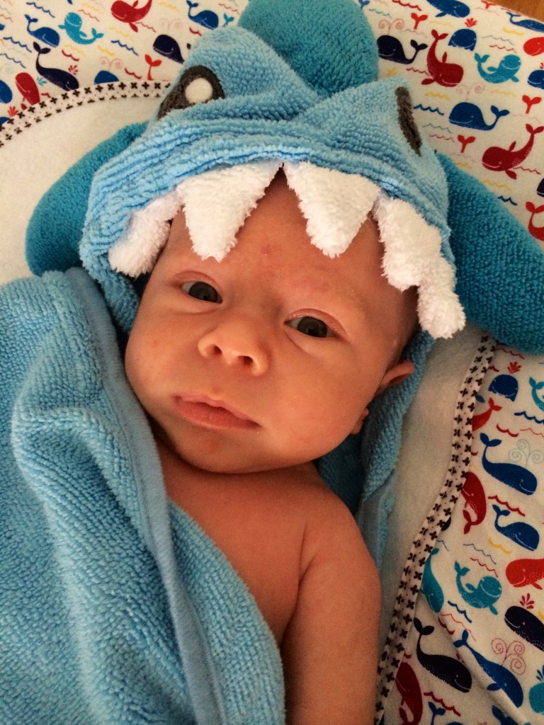 baby shark boy! 