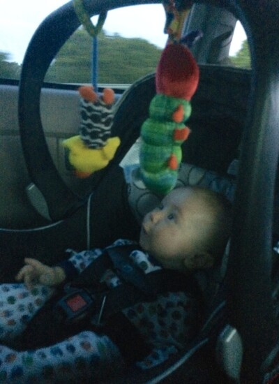 Ryder in Car
