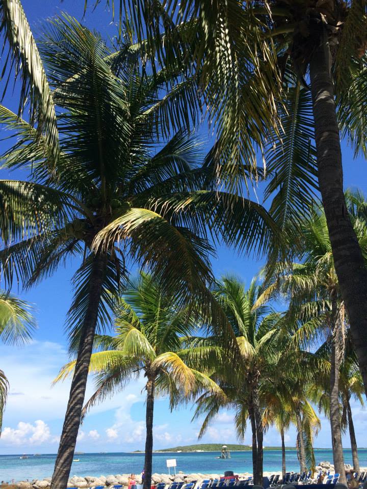 cocoa cay, bahamas