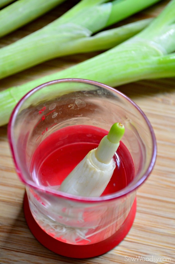 How to Grow Green Onions
