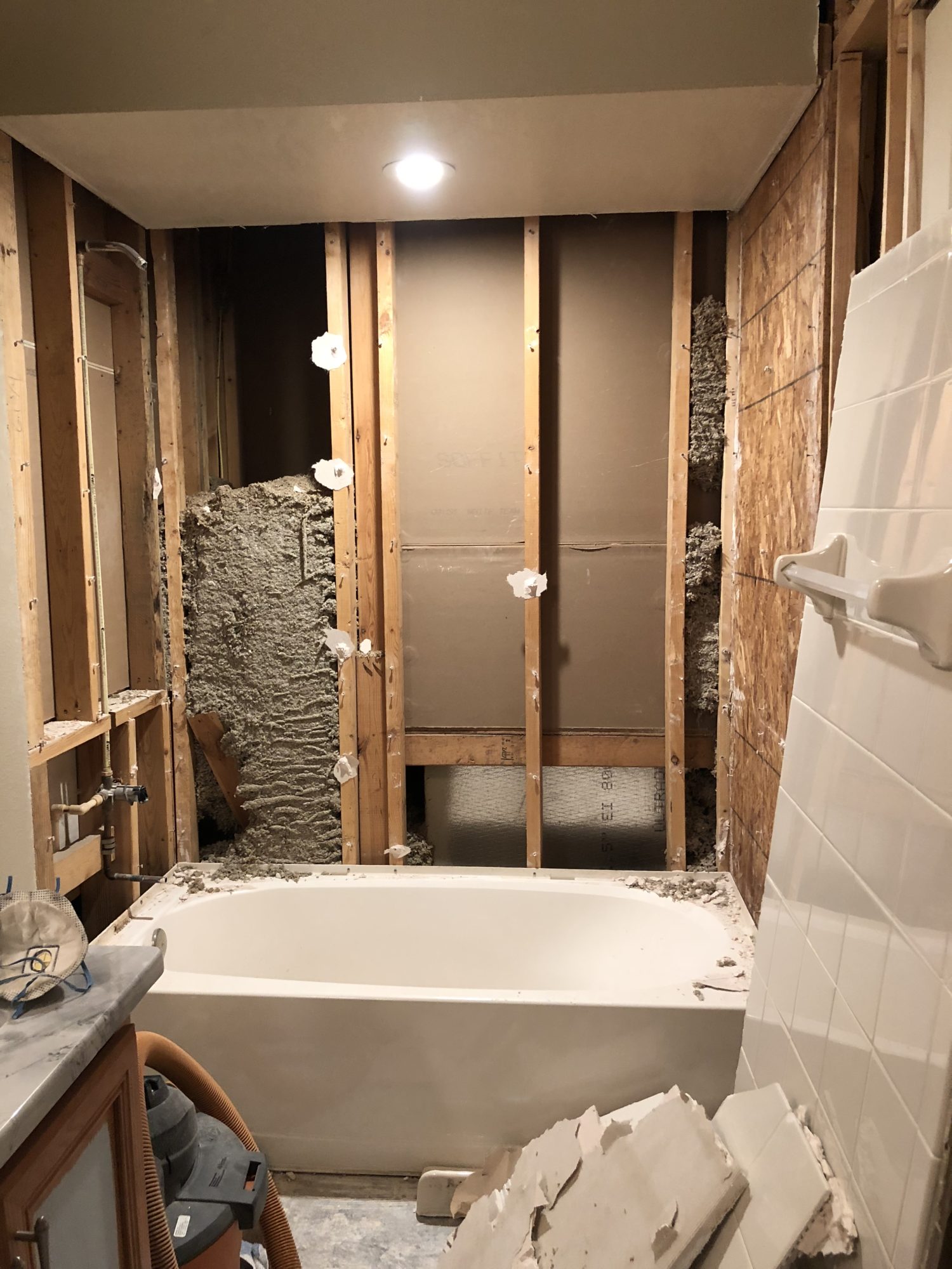 Bathroom Demo