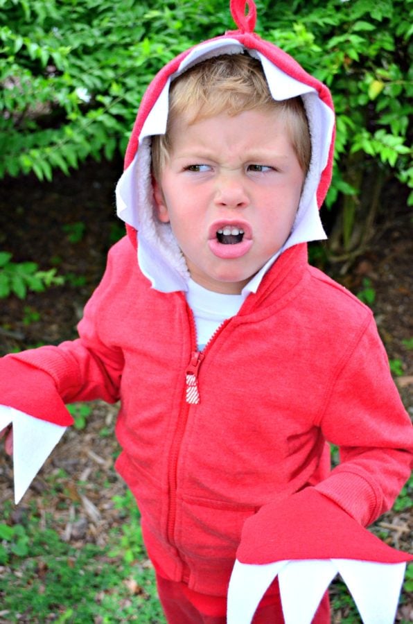 DIY No-Sew Cupcake and Dinosaur Halloween Costumes • Homemaker's