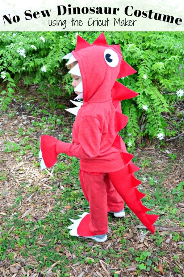 No Sew Dinosaur Costume