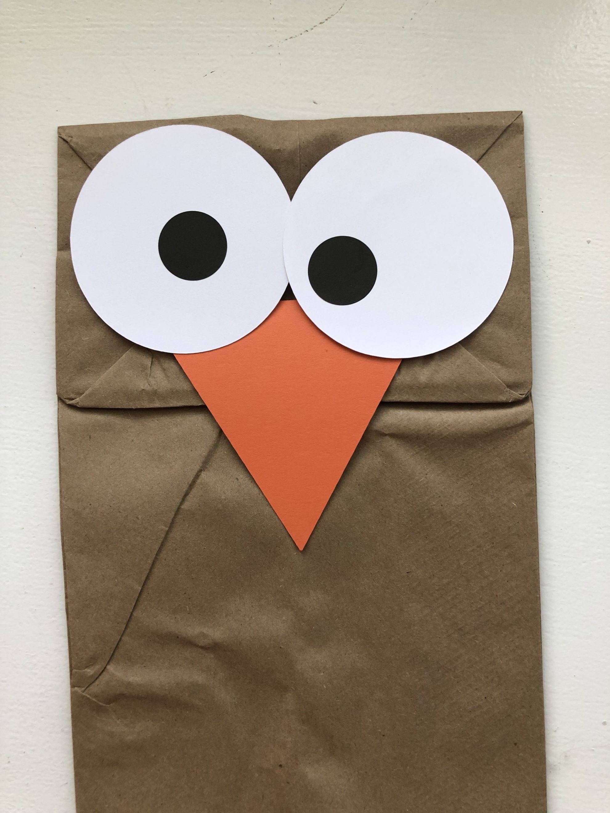 Close up of a brown paper bag with two white eyes with black pupils and an orange triangle beak.