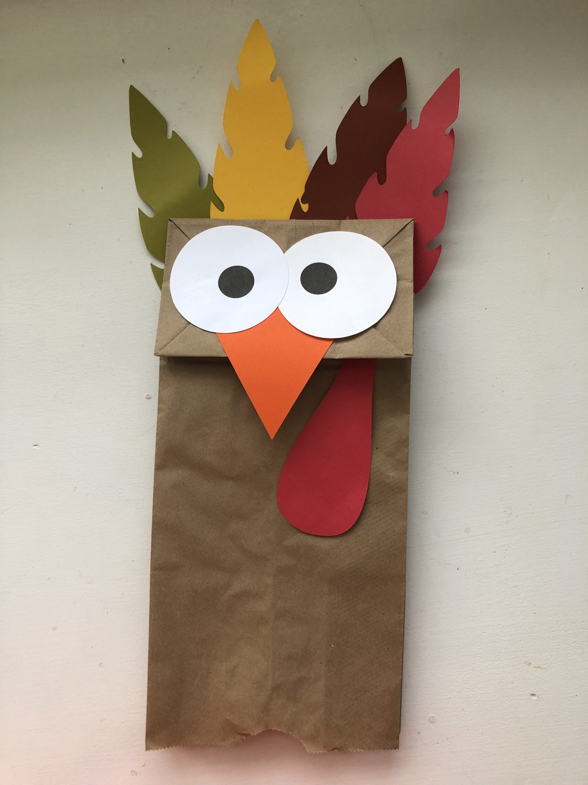 Thanksgiving Turkey Craft, Paper Bag Book Craft for November