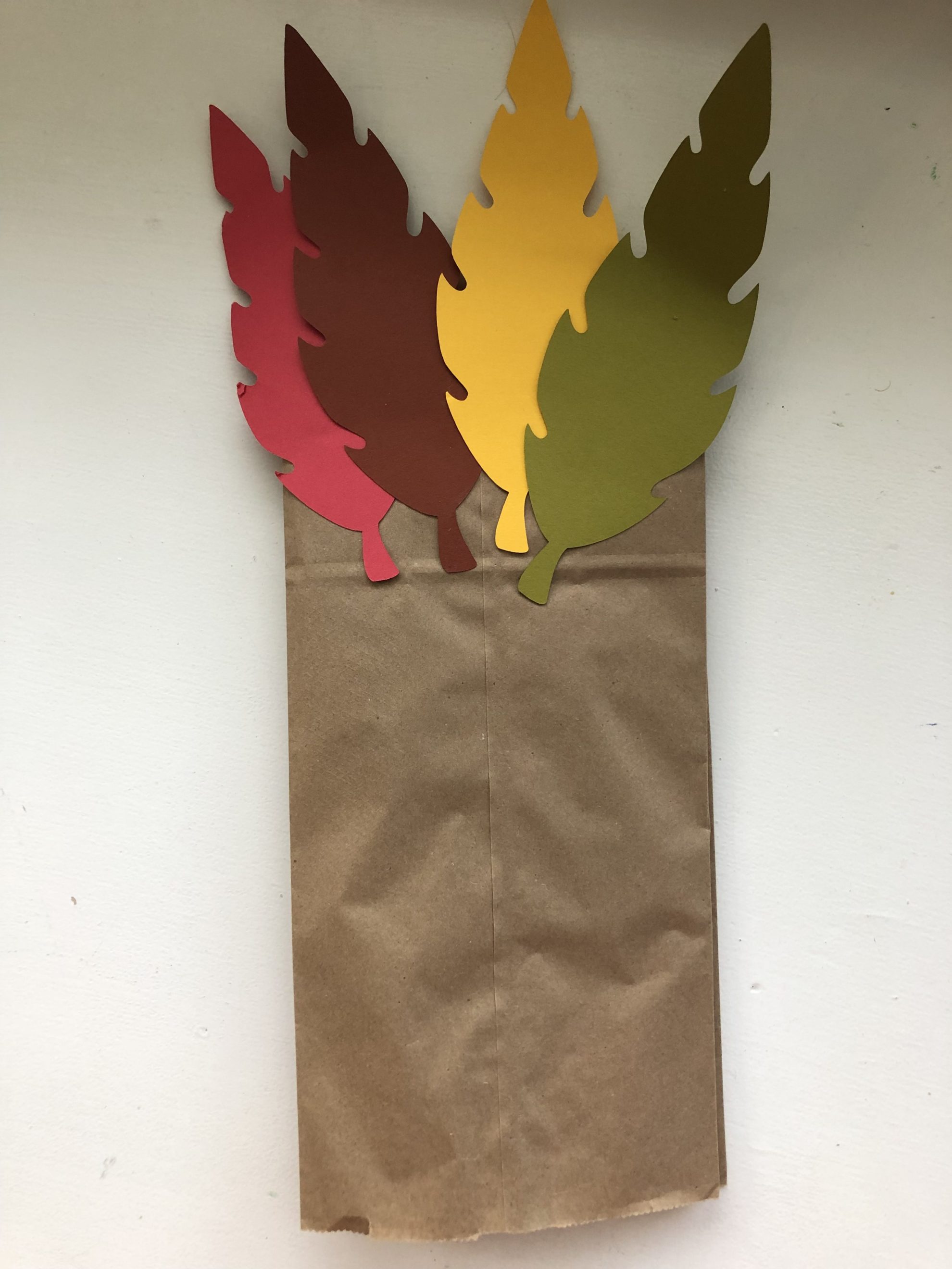 Back of a brown paper bag with feathers glued on the back.