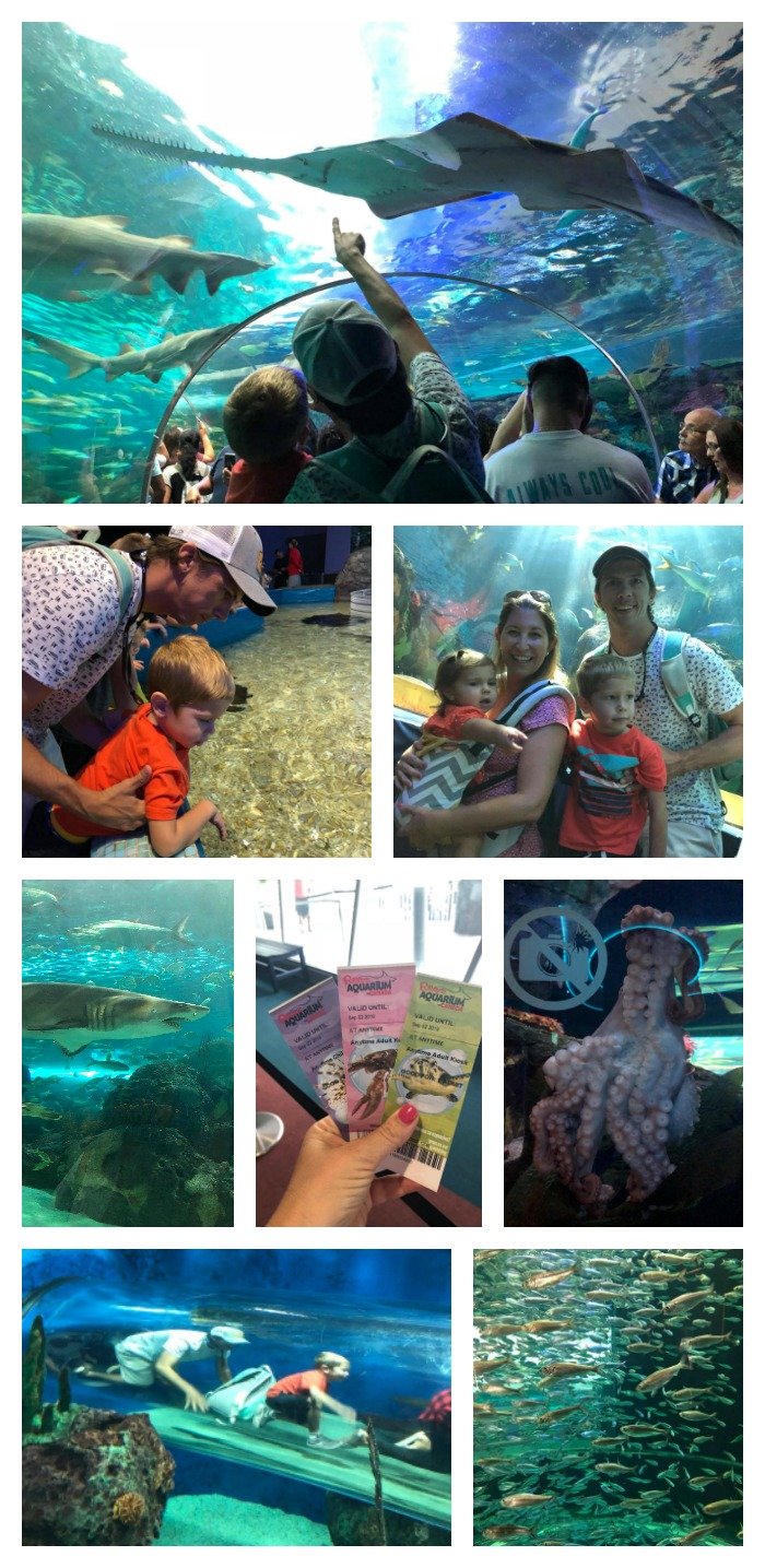 Ripley's Aquarium of Canada