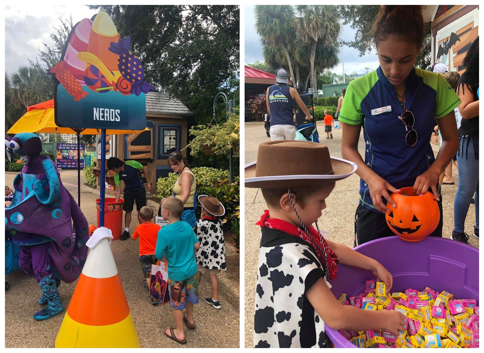 Candy Stations