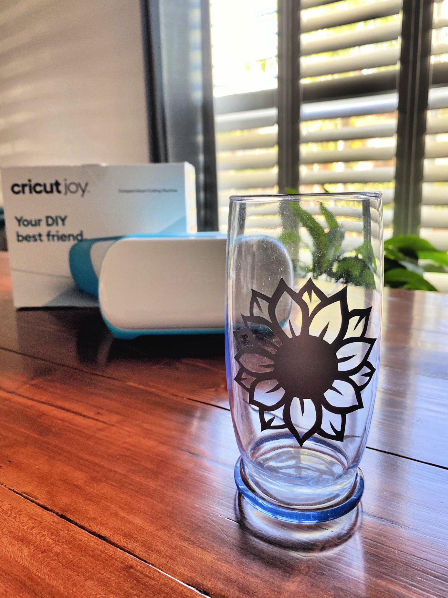 Cricut Joy Practice Vinyl