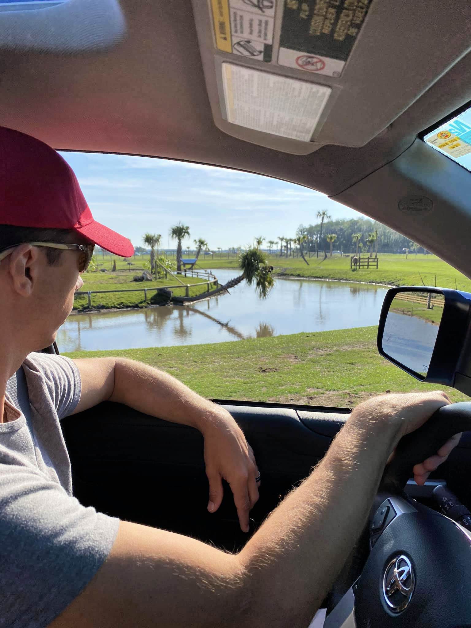 Driving around Wild Florida Drive-Thru Safari Park.