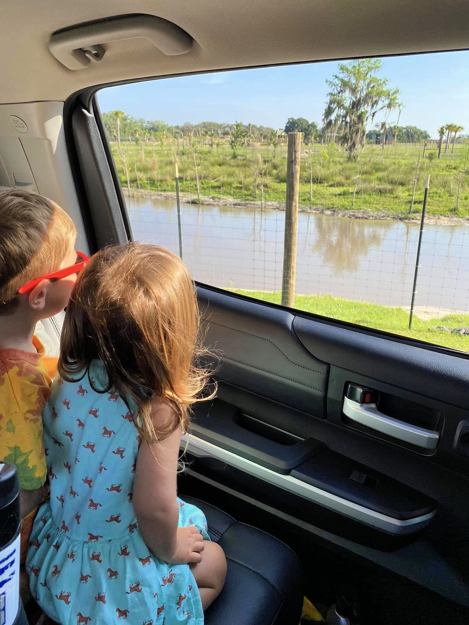 Kids looking out the window at Wild Florida Drive-Thru Safari Park