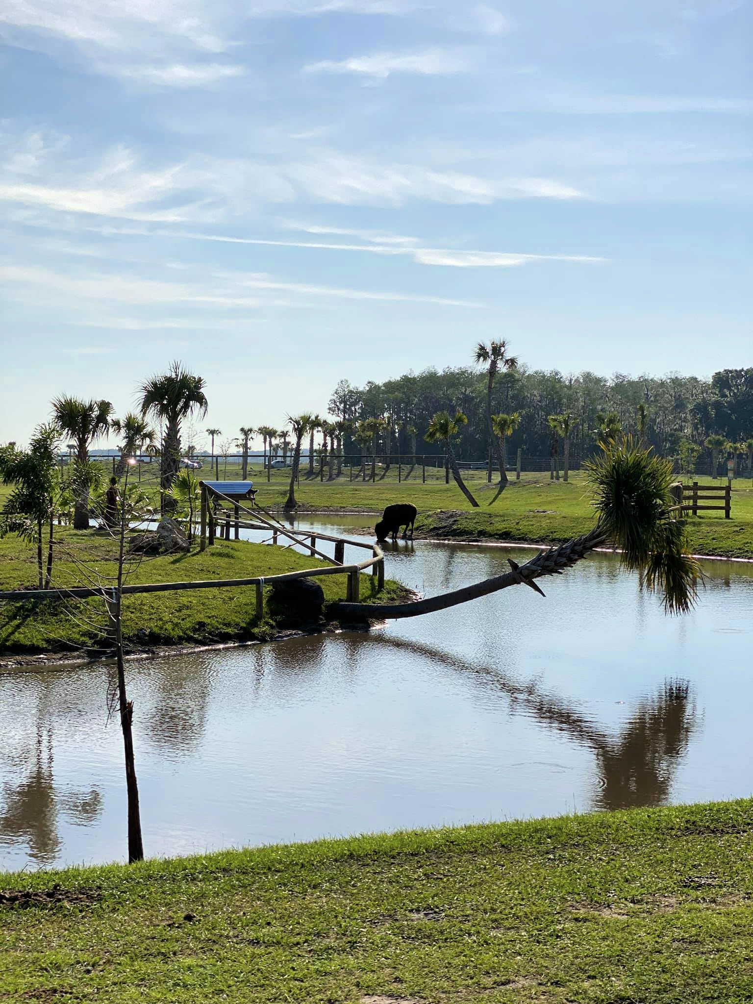 Landscape of Wild Florida Drive-Thru Safari Park