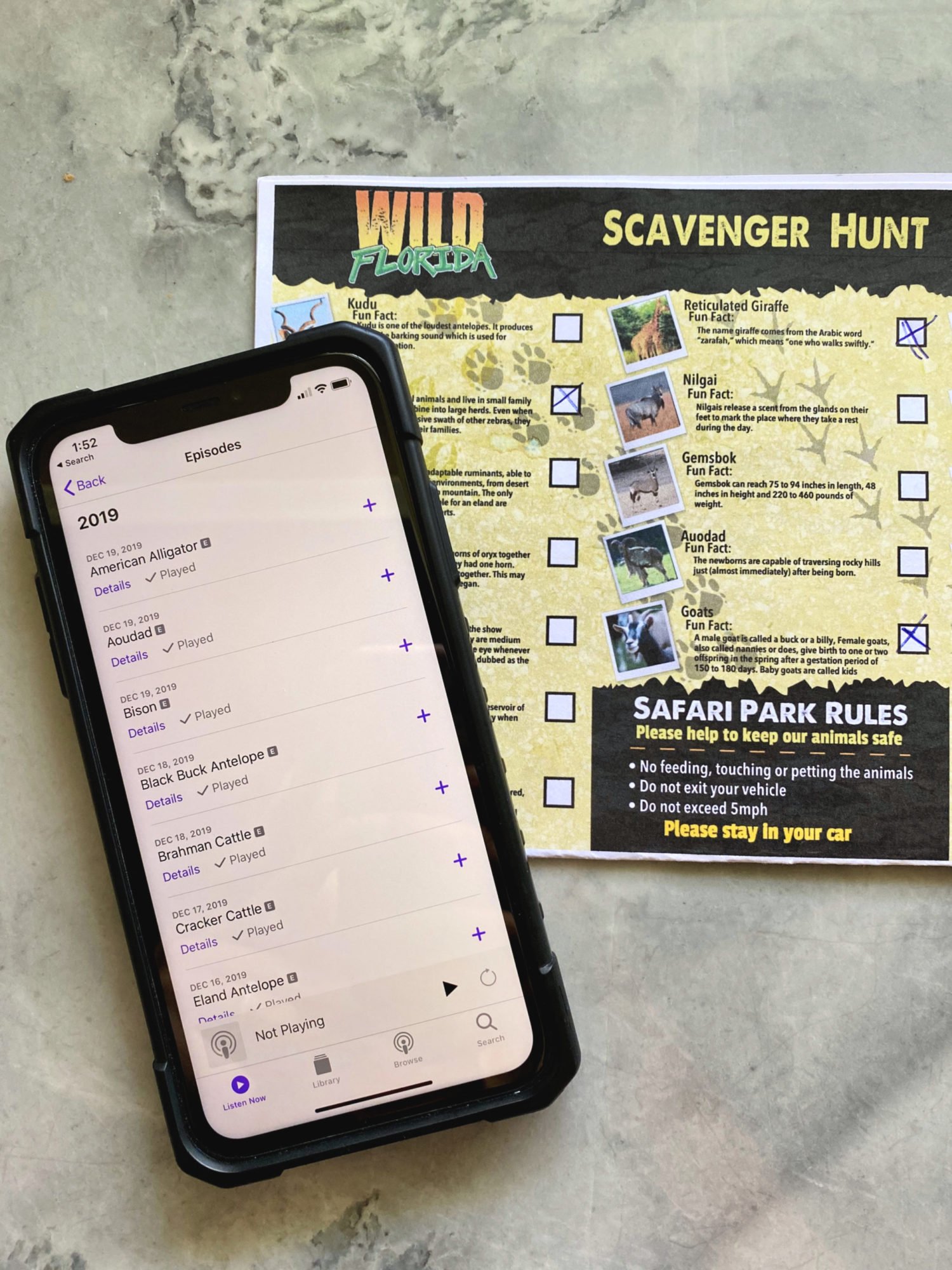 Downlaod the Podcast and Scavenger Hunt from Wild Florida Drive-Thru Safari Park