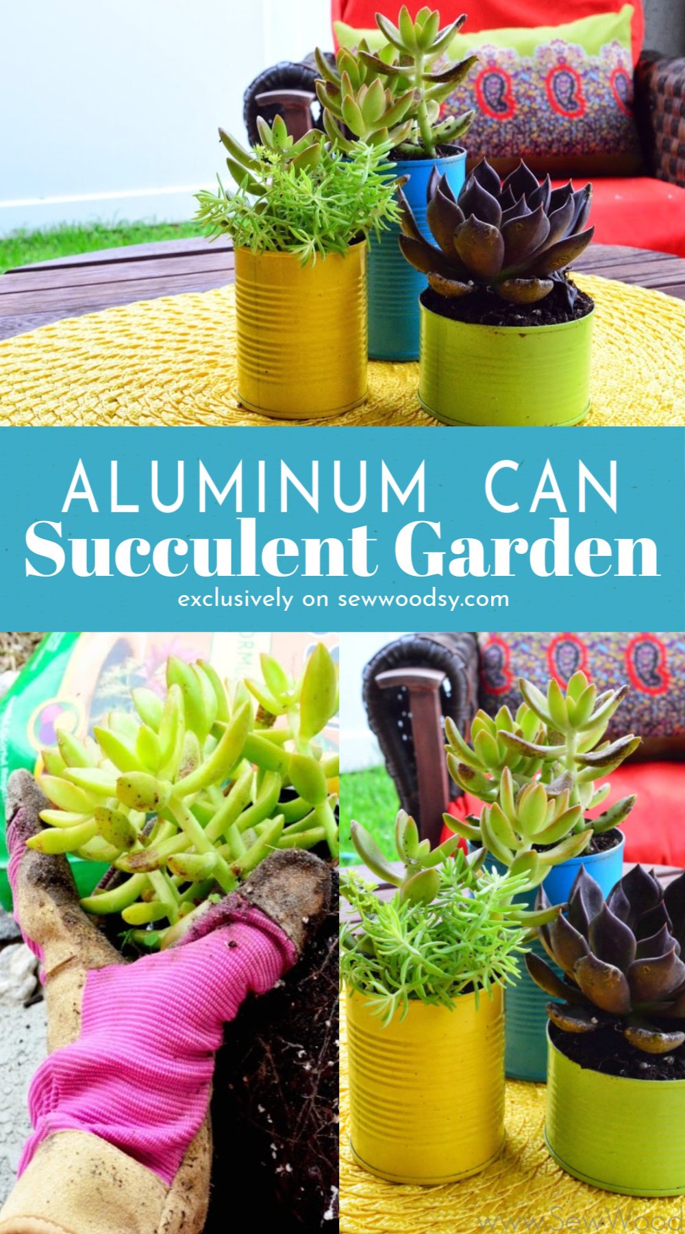 Aluminum Can Succulent Garden