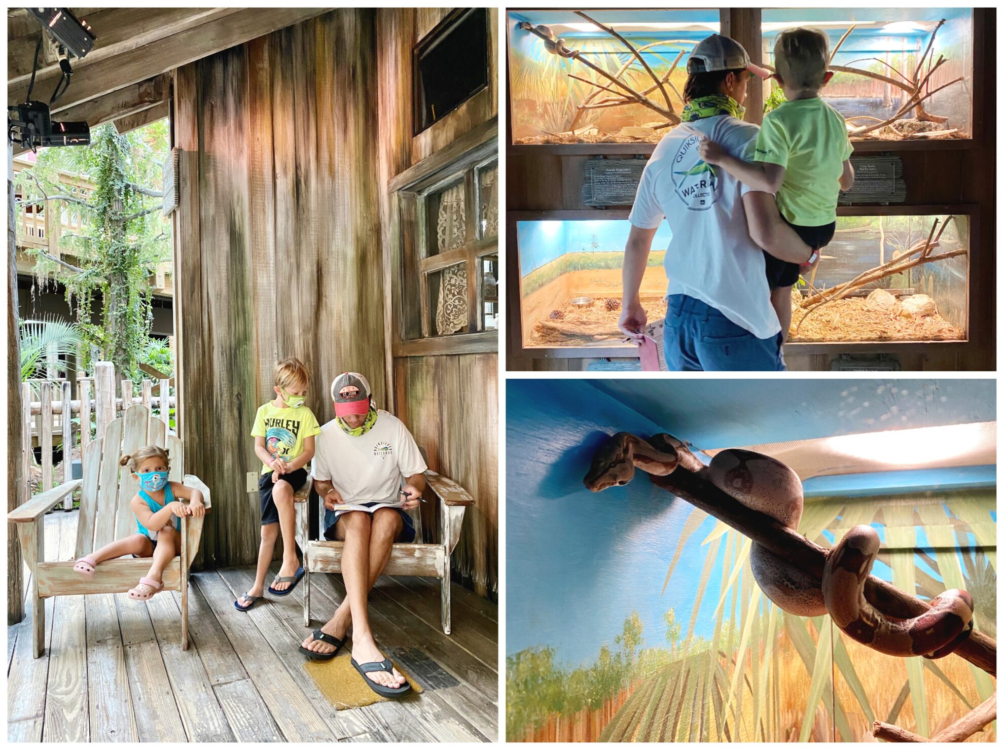 Three photo split of snakes, father with children looking at snakes, and children and man sitting.