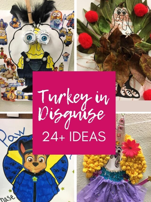 Turkey in Disguise Project