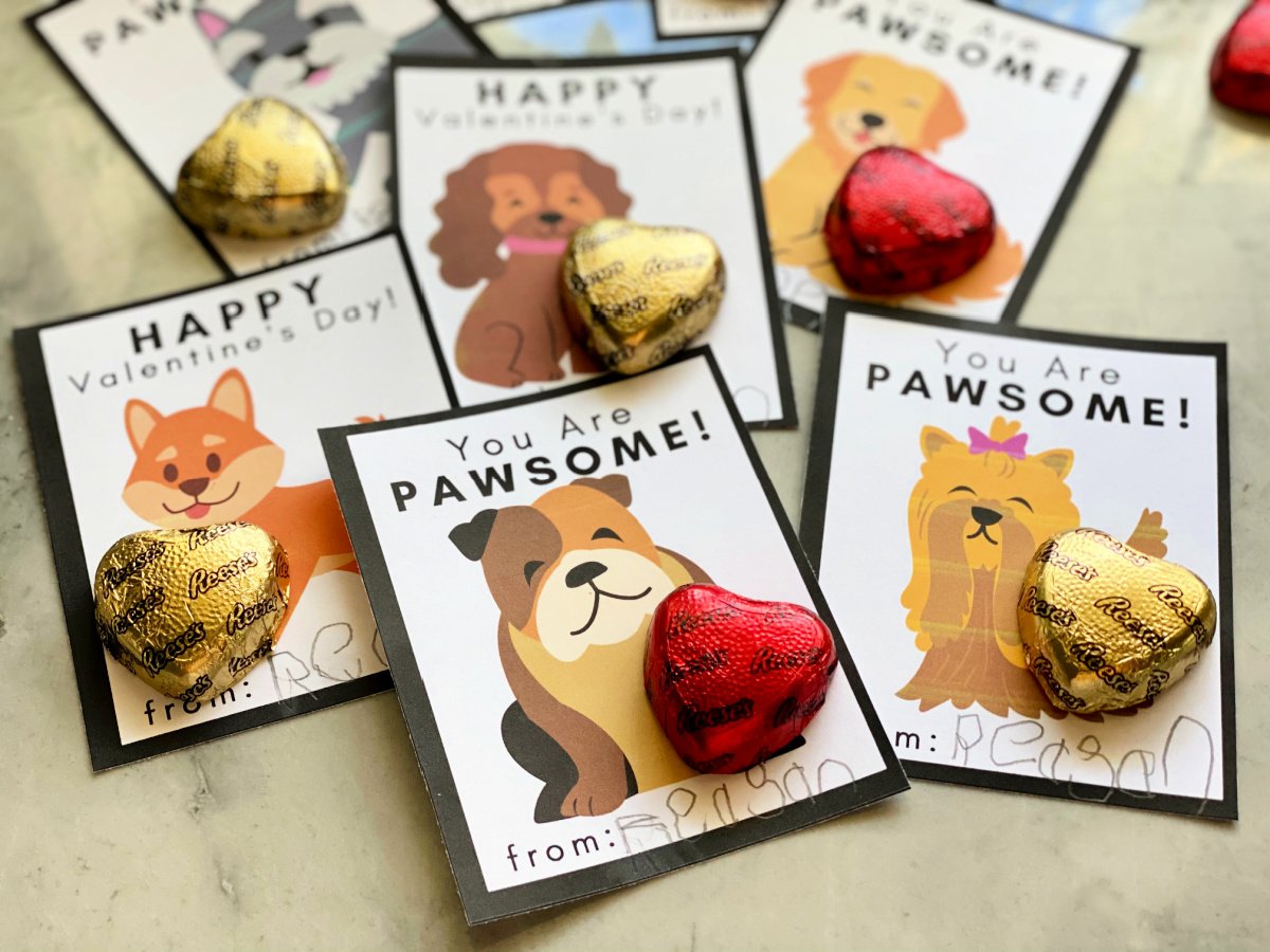 Close up of dog valentines with chocolate candy hearts attached to them.