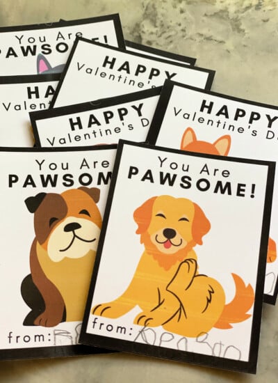 Close up of dog valentines stacked.