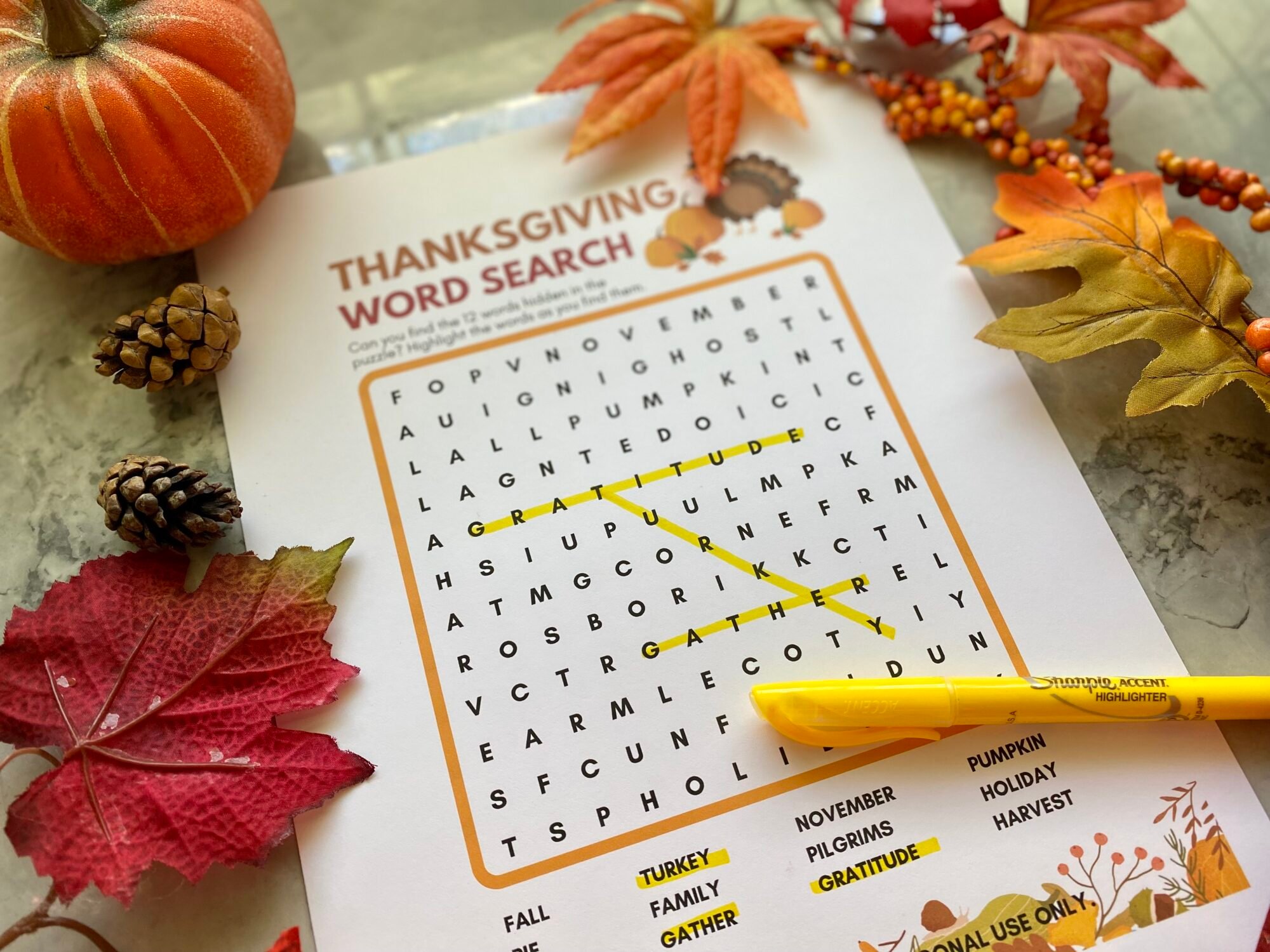 Close up of a word search that has three highlighted words surrounded by pumpkins, leaves, and pine cones.